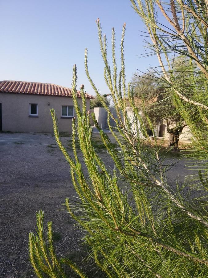 Maison Du Causse Magalas ภายนอก รูปภาพ
